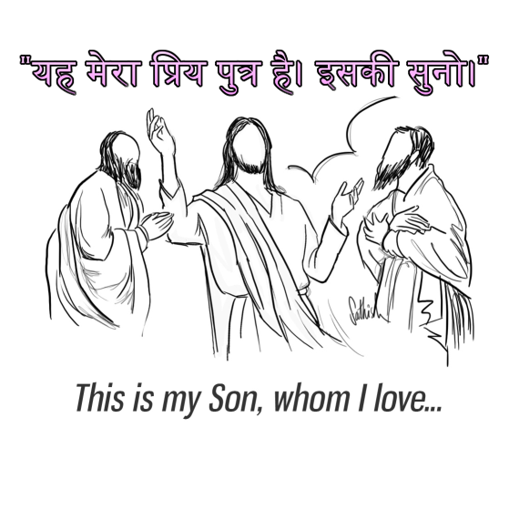 🚥🚥🚥🚥🚥🚥🚥🚥