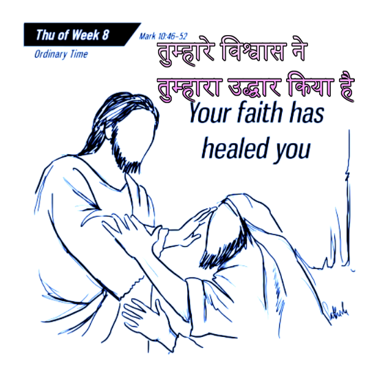 🚥🚥🚥🚥🚥🚥🚥🚥