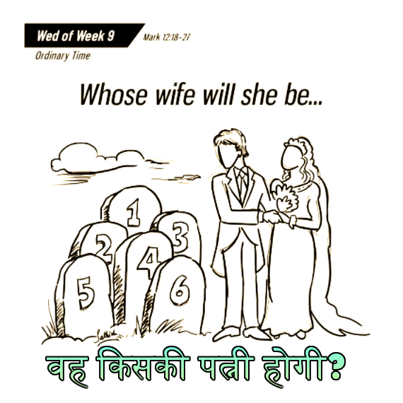 🚥🚥🚥🚥🚥🚥🚥🚥