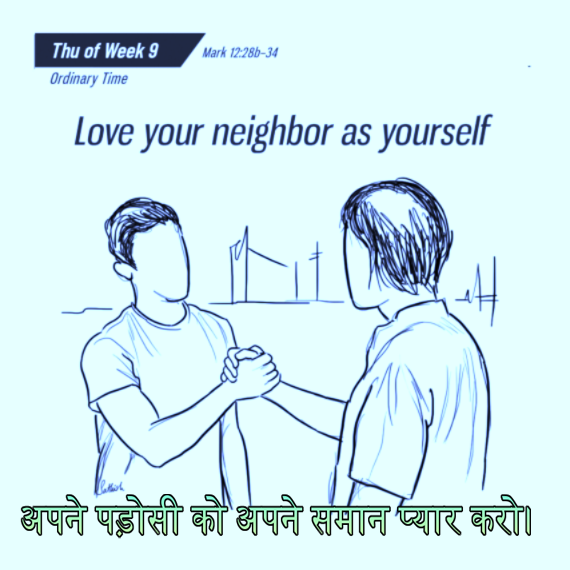 🚥🚥🚥🚥🚥🚥🚥🚥