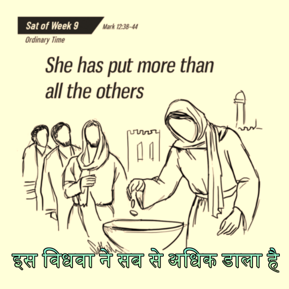 🚥🚥🚥🚥🚥🚥🚥🚥