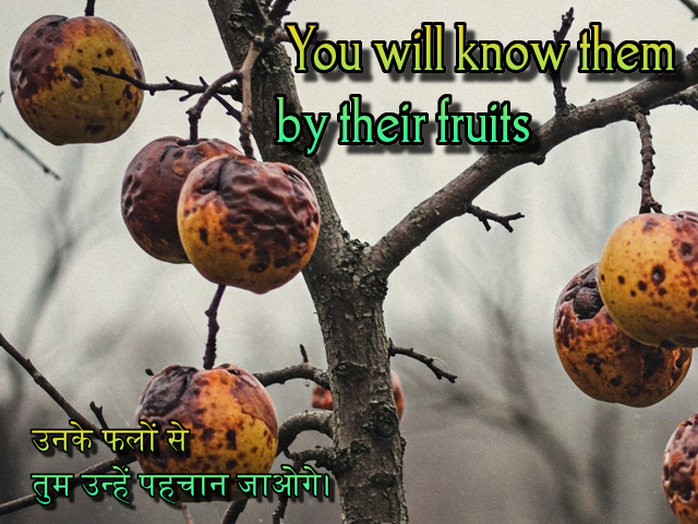 🚥🚥🚥🚥🚥🚥🚥🚥