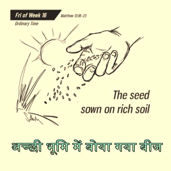 🚥🚥🚥🚥🚥🚥🚥🚥