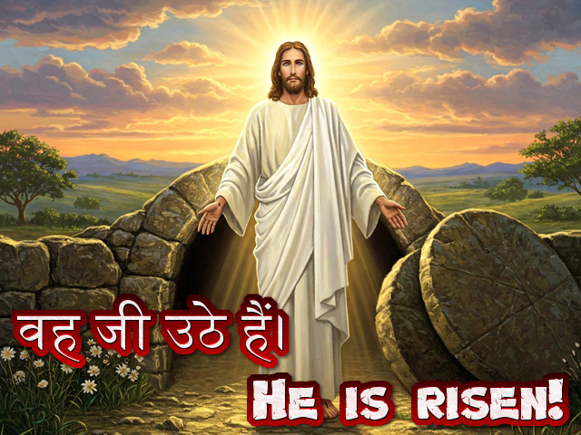 🚥🚥🚥🚥🚥🚥🚥🚥