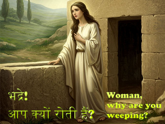 🚥🚥🚥🚥🚥🚥🚥🚥