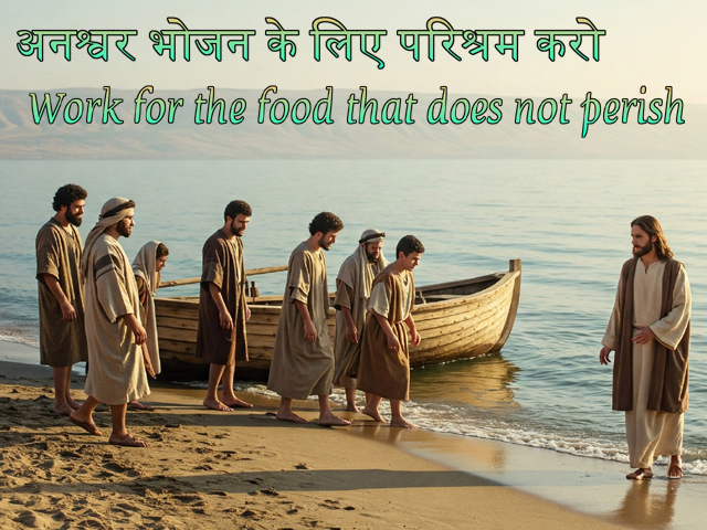 🚥🚥🚥🚥🚥🚥🚥🚥