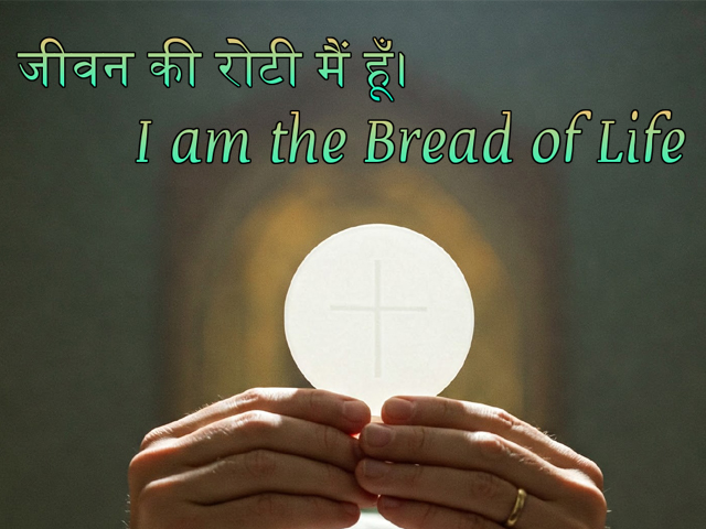 🚥🚥🚥🚥🚥🚥🚥🚥