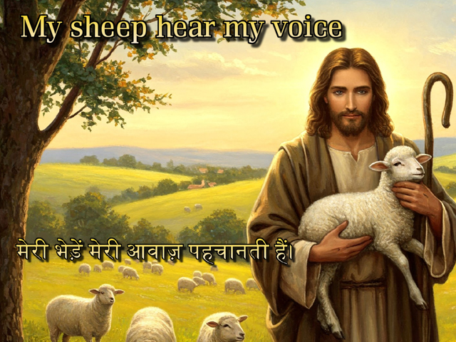 🚥🚥🚥🚥🚥🚥🚥🚥