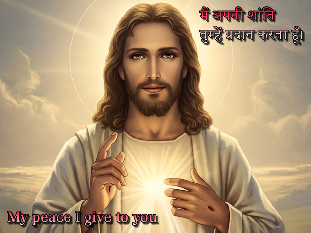 🚥🚥🚥🚥🚥🚥🚥🚥