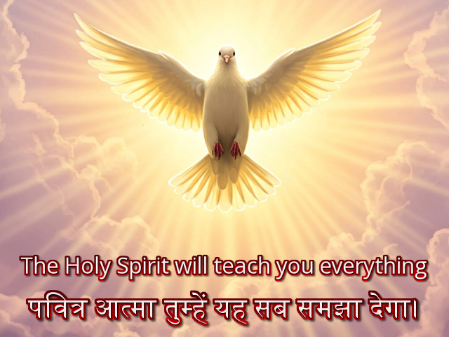 🚥🚥🚥🚥🚥🚥🚥🚥