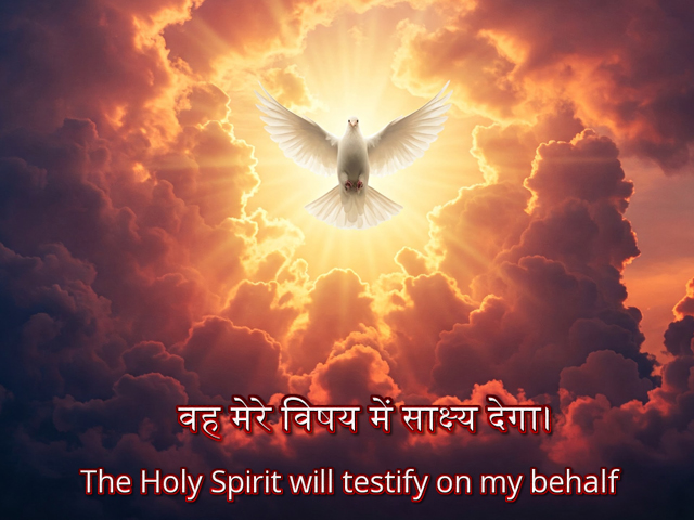 🚥🚥🚥🚥🚥🚥🚥🚥