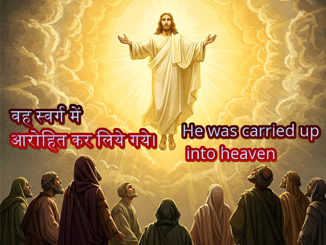 🚥🚥🚥🚥🚥🚥🚥🚥