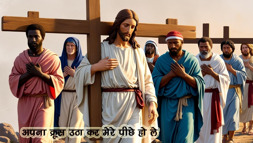 🚥🚥🚥🚥🚥🚥🚥🚥