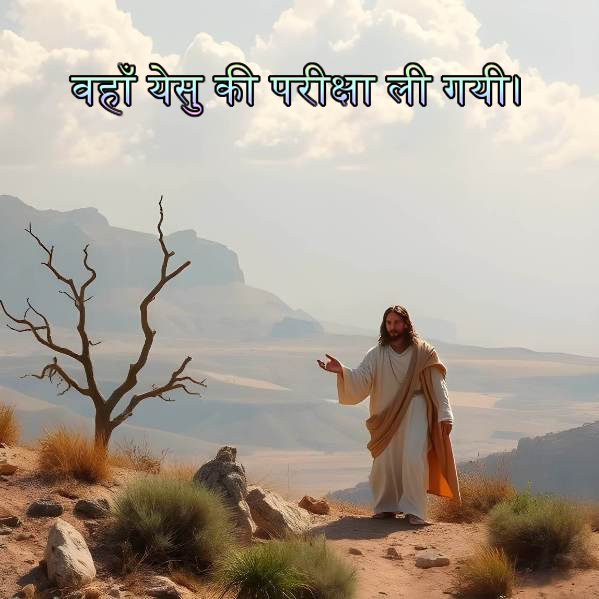 🚥🚥🚥🚥🚥🚥🚥🚥