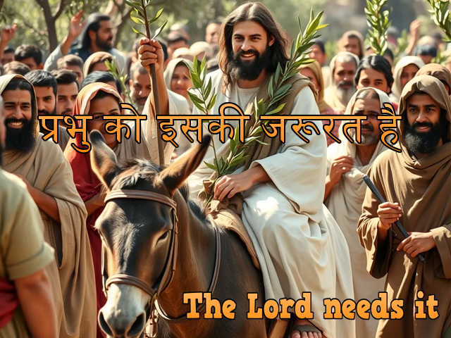 🚥🚥🚥🚥🚥🚥🚥🚥