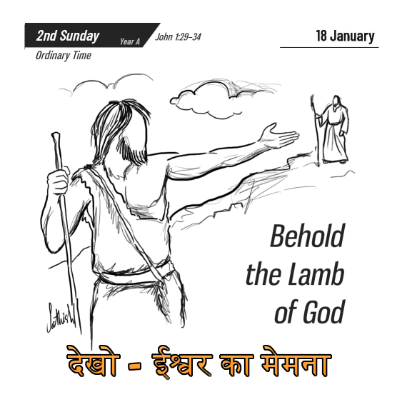 🚥🚥🚥🚥🚥🚥🚥🚥