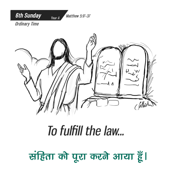 🚥🚥🚥🚥🚥🚥🚥🚥