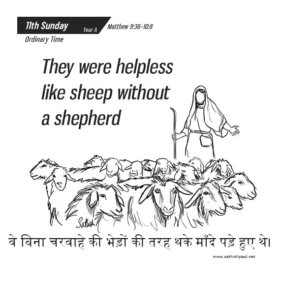 🚥🚥🚥🚥🚥🚥🚥🚥