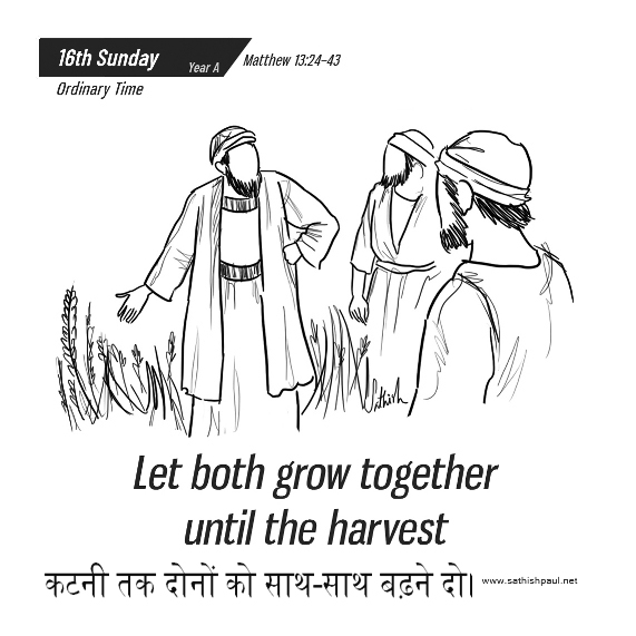 🚥🚥🚥🚥🚥🚥🚥🚥